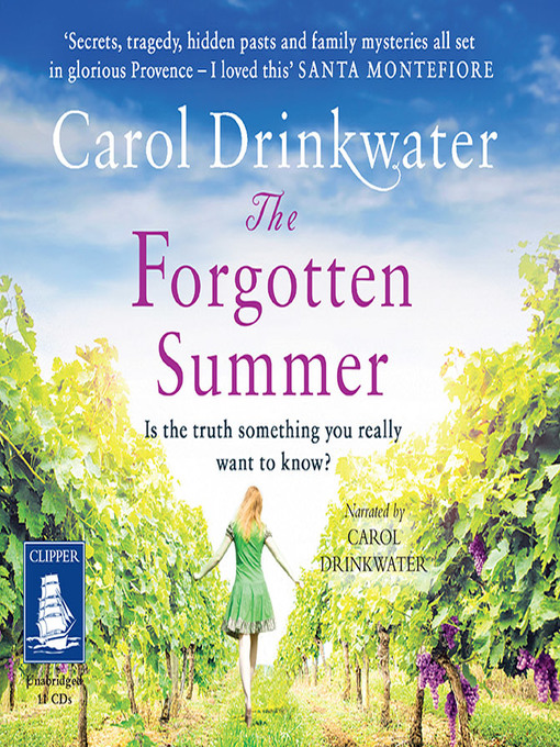 Cover image for The Forgotten Summer